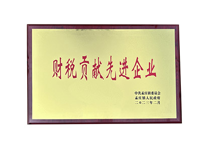 財稅貢獻(xiàn)先進(jìn)企業(yè)